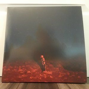 Phoebe Bridgers' Punisher Vinyl Record